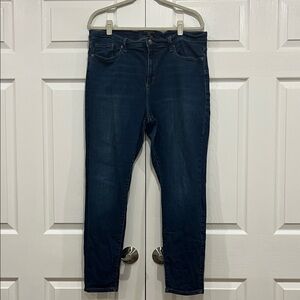 Banana Republic Factory New House Mr. Skinny Dark Wash Denim Jeans Size 34/18